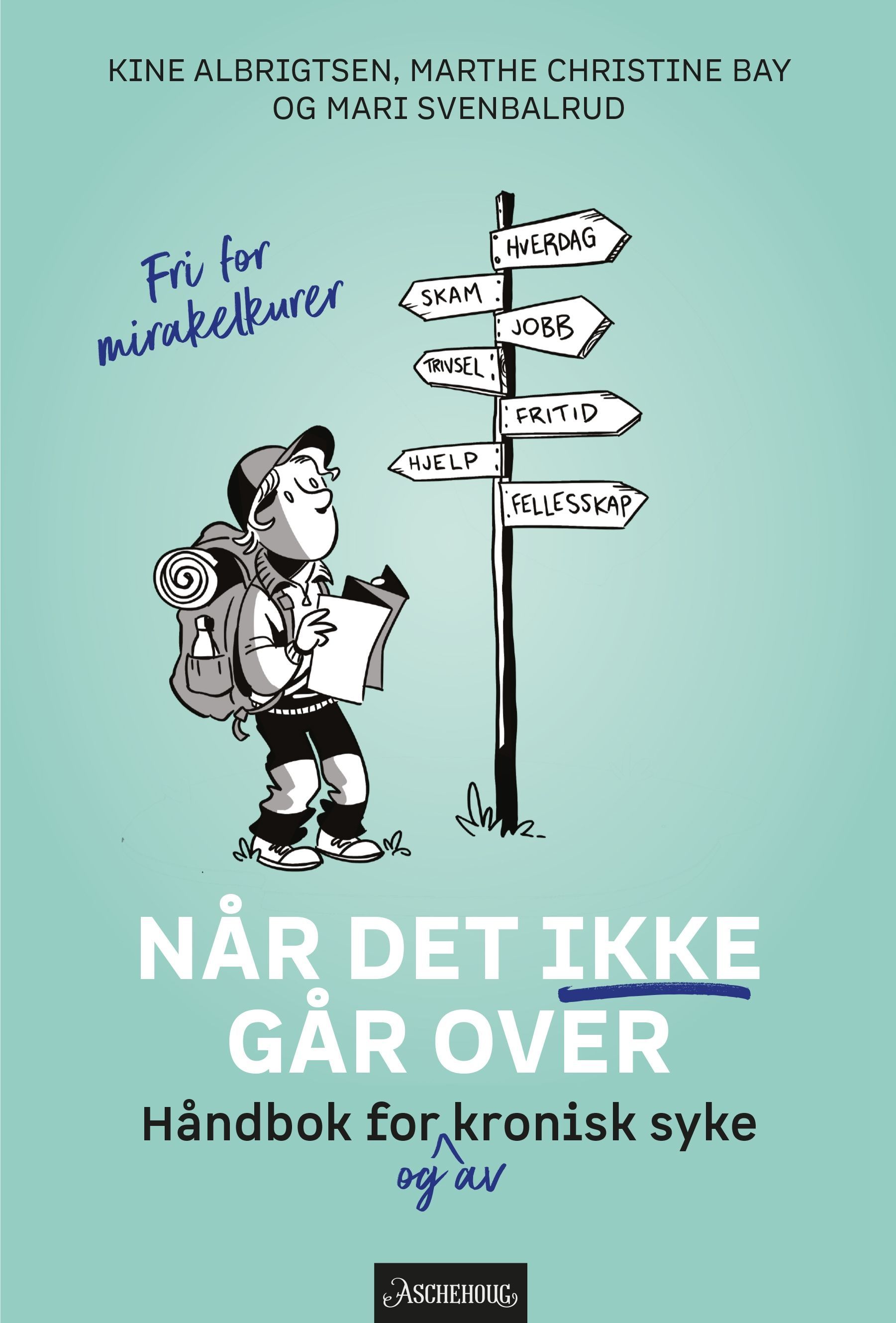 Når det ikke går over : håndbok for og av kronisk syke