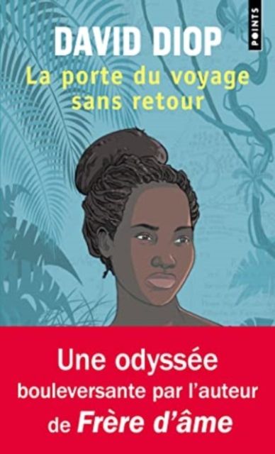 La porte du voyage sans retour : ou les cahiers secrets de Michel Adanson : roman