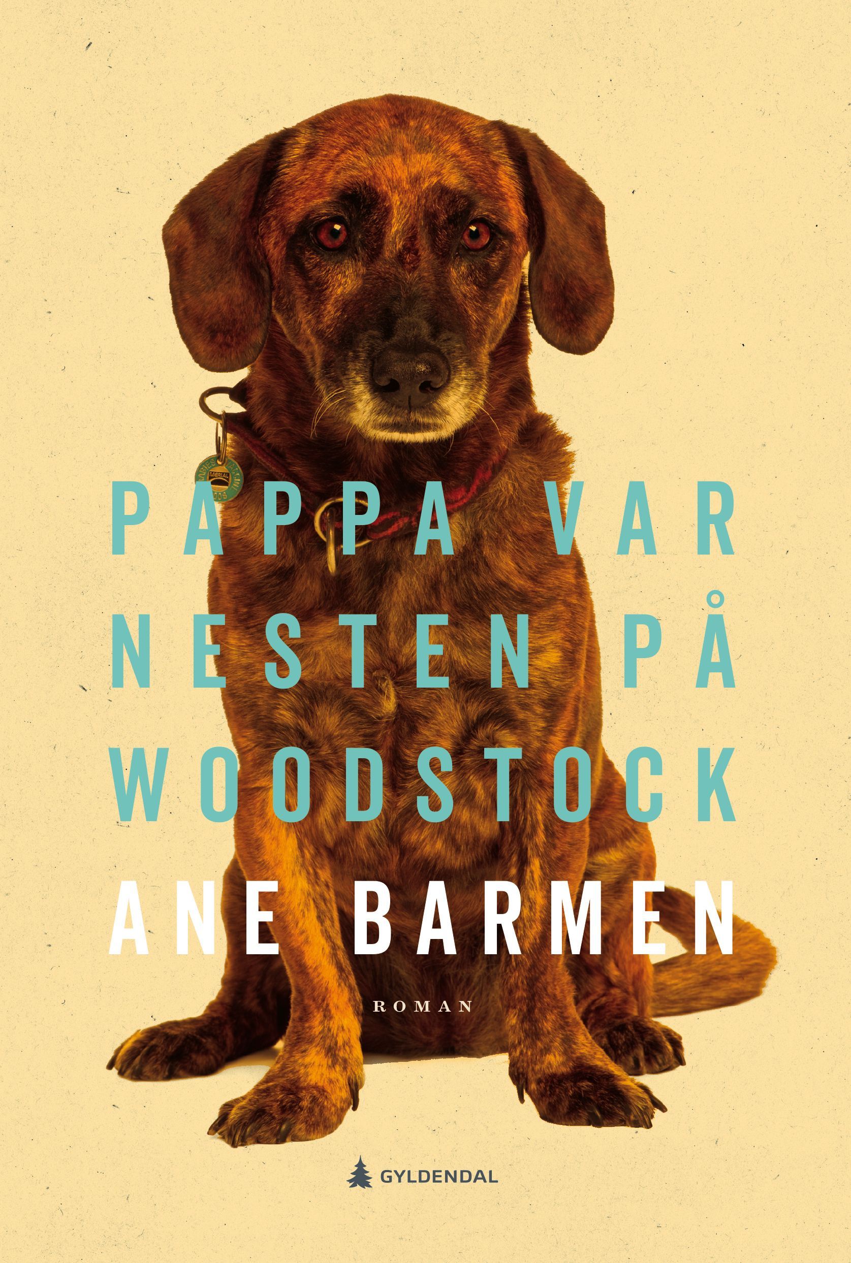 Pappa var nesten på Woodstock : roman