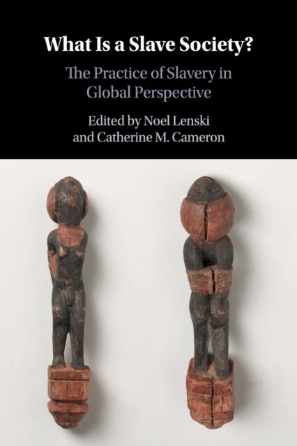 What Is a Slave Society? : The Practice of Slavery in Global Perspective