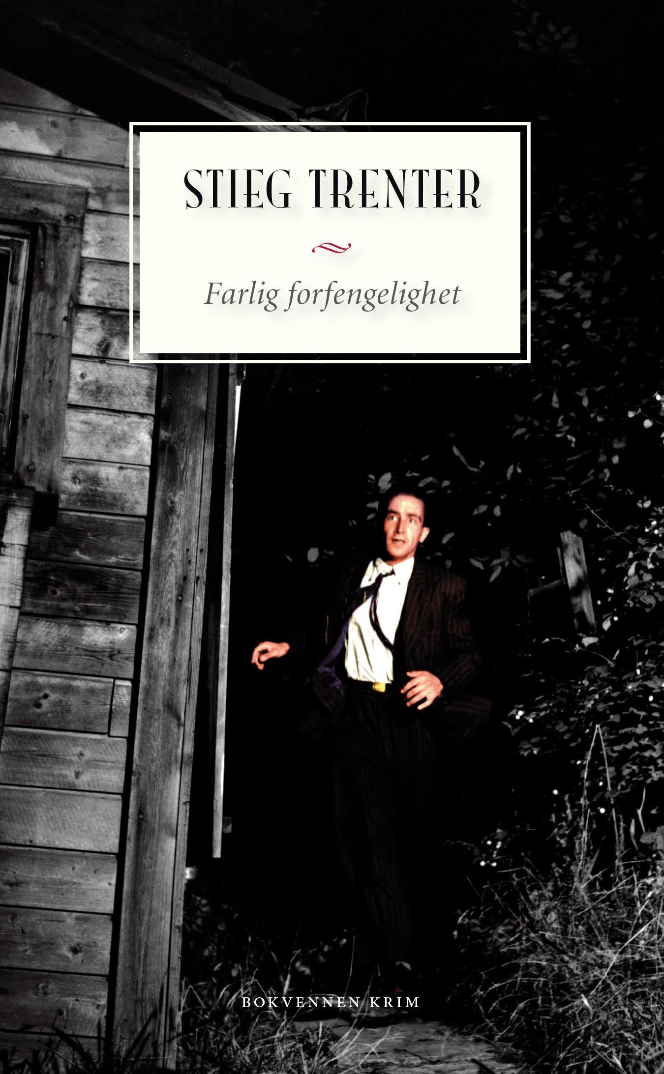 Farlig forfengelighet : en Harry Friberg-krim