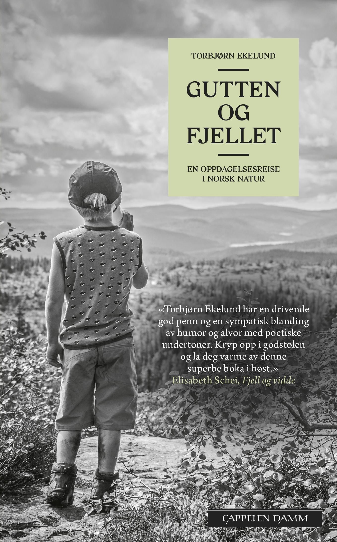 Gutten og fjellet : en oppdagelsesreise i norsk natur