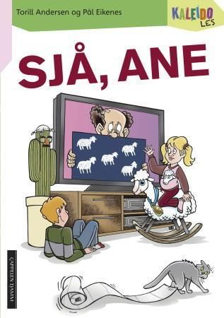 Sjå, Ane