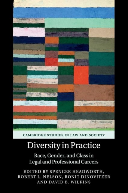 Diversity in Practice : Race, Gender, and Class in Legal and Professional Careers