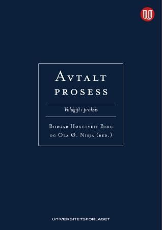 Avtalt prosess : voldgift i praksis
