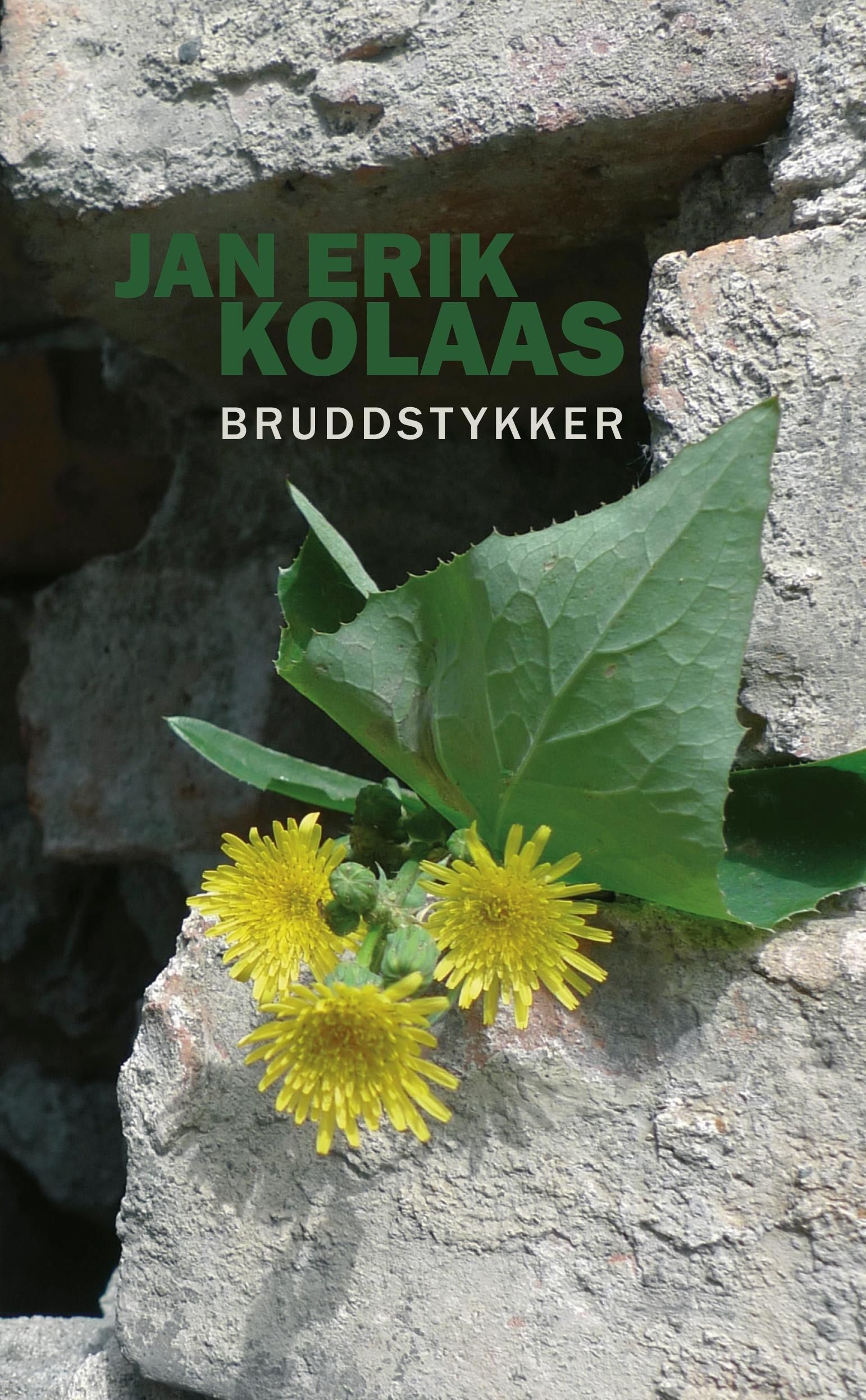 Bruddstykker : roman