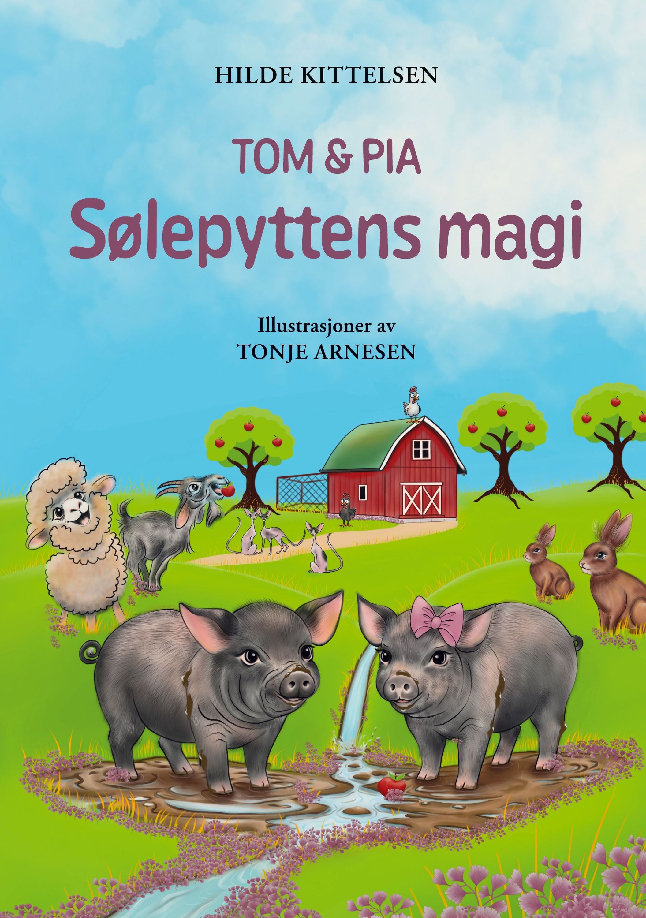 Sølepyttens magi