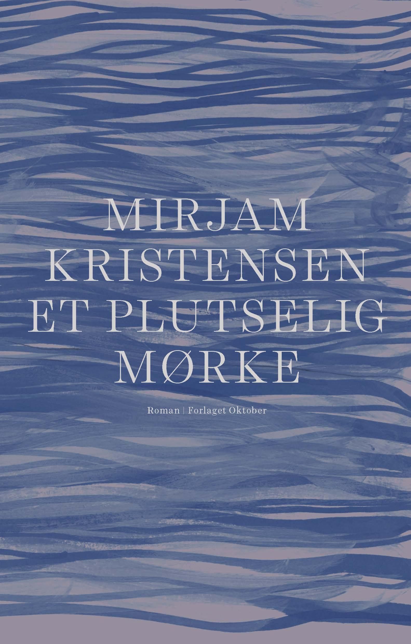 Et plutselig mørke : roman