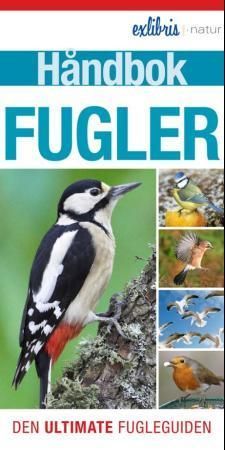 Hva er det for slags fugl?