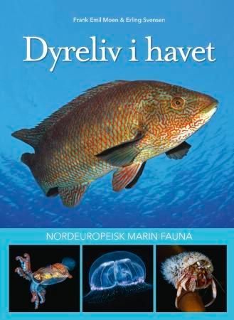 Dyreliv i havet : nordeuropeisk marin fauna