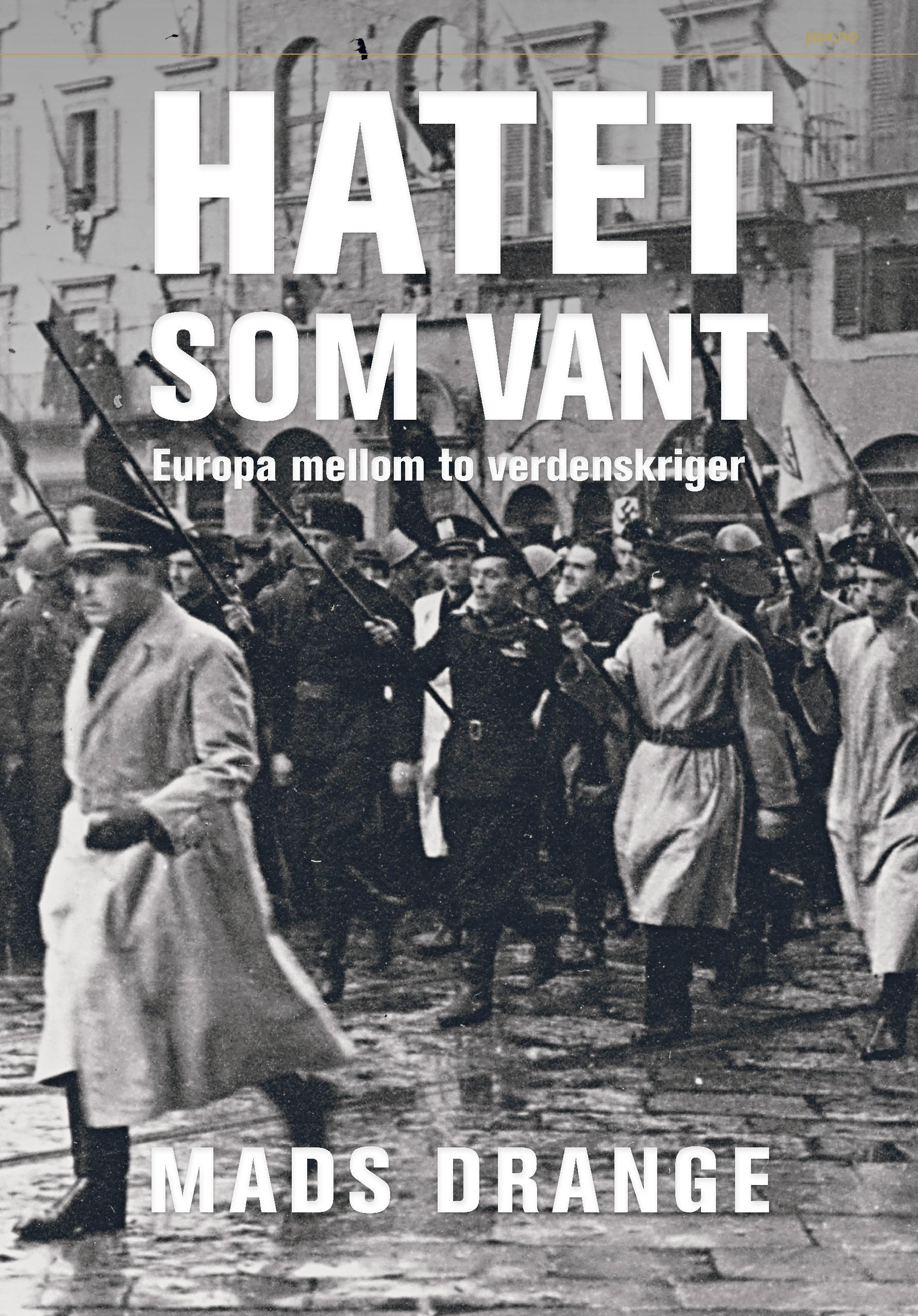 Hatet som vant : Europa mellom to verdenskriger