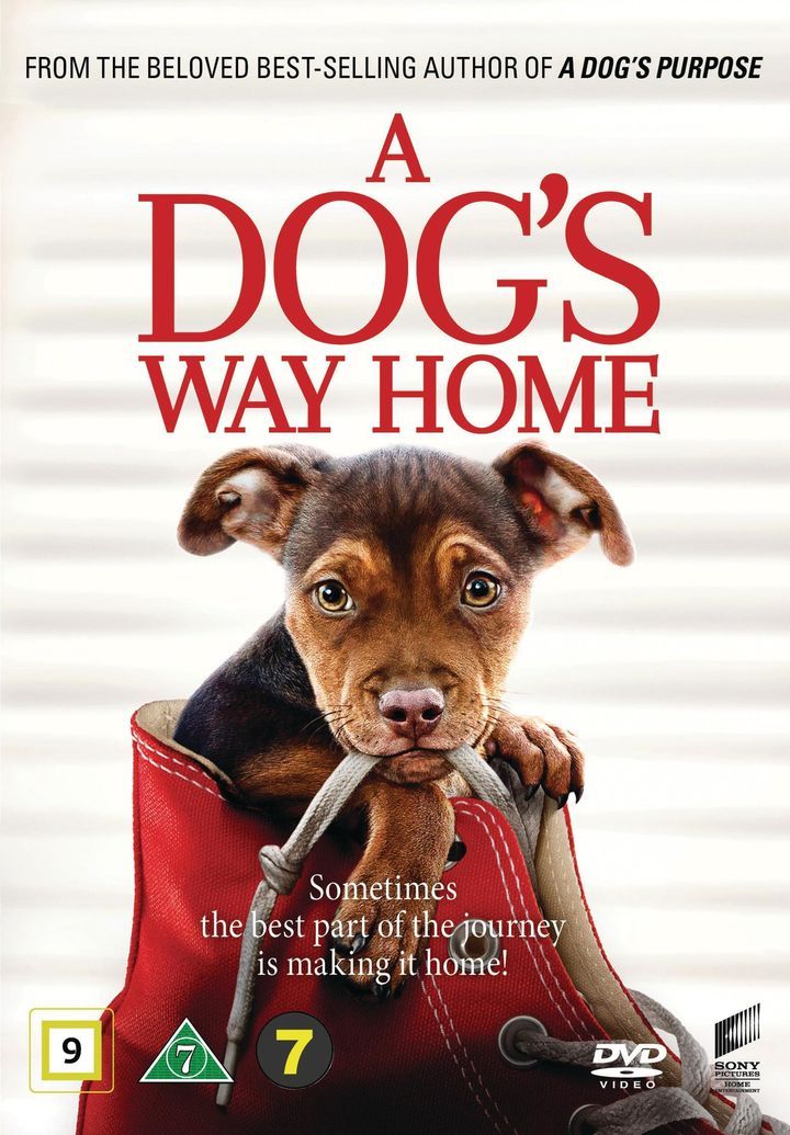 A Dog's way home