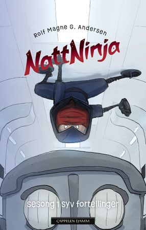 Nattninja