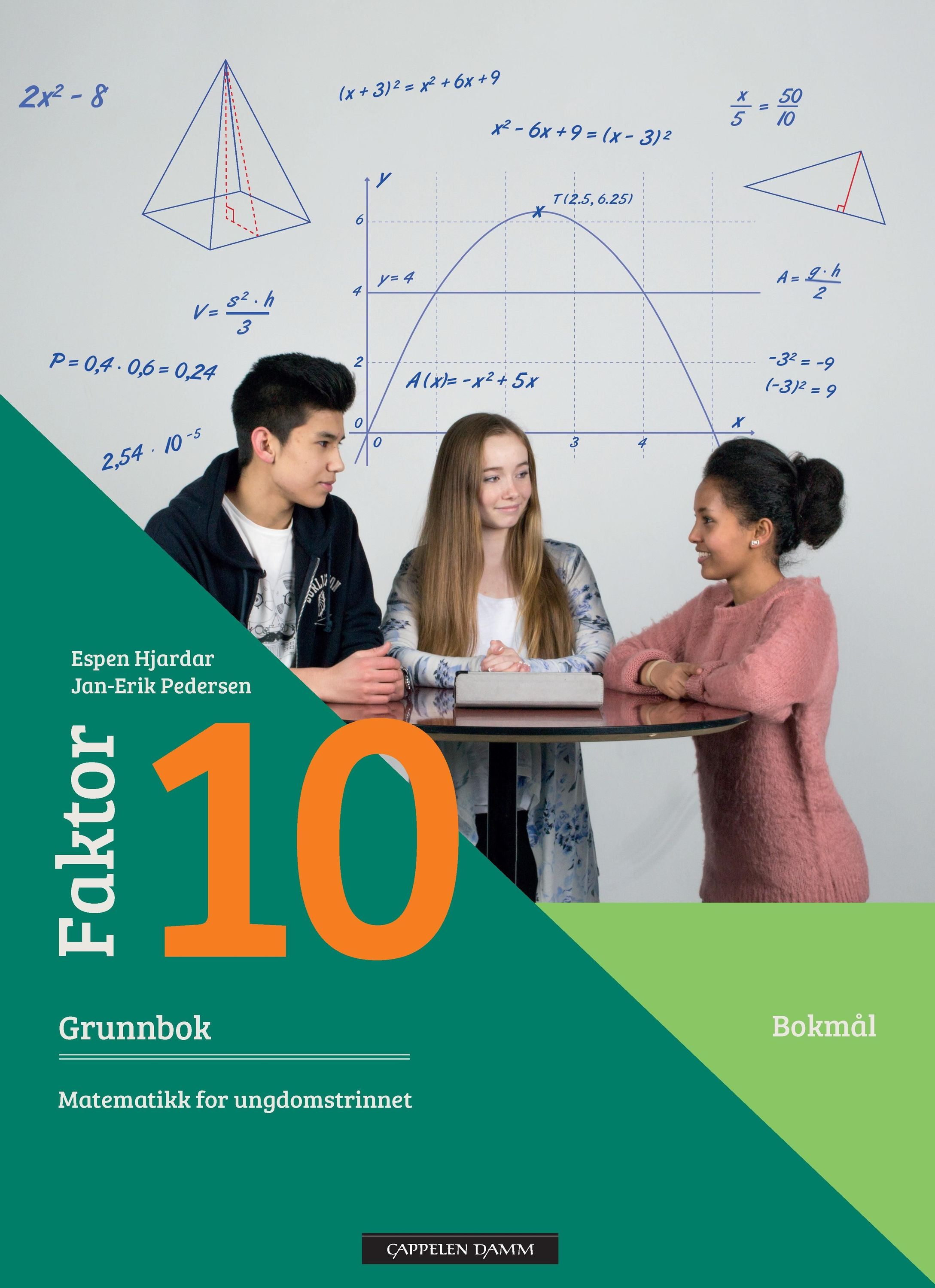 Faktor 10 : grunnbok