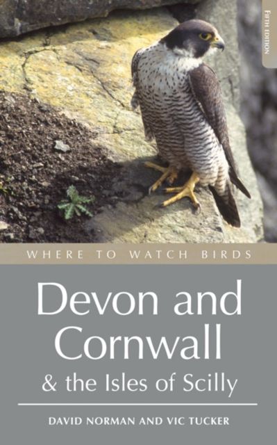 Forsidebilde av Where to Watch Birds in Devon and Cornwall : Including the Isles of Scilly and Lundy