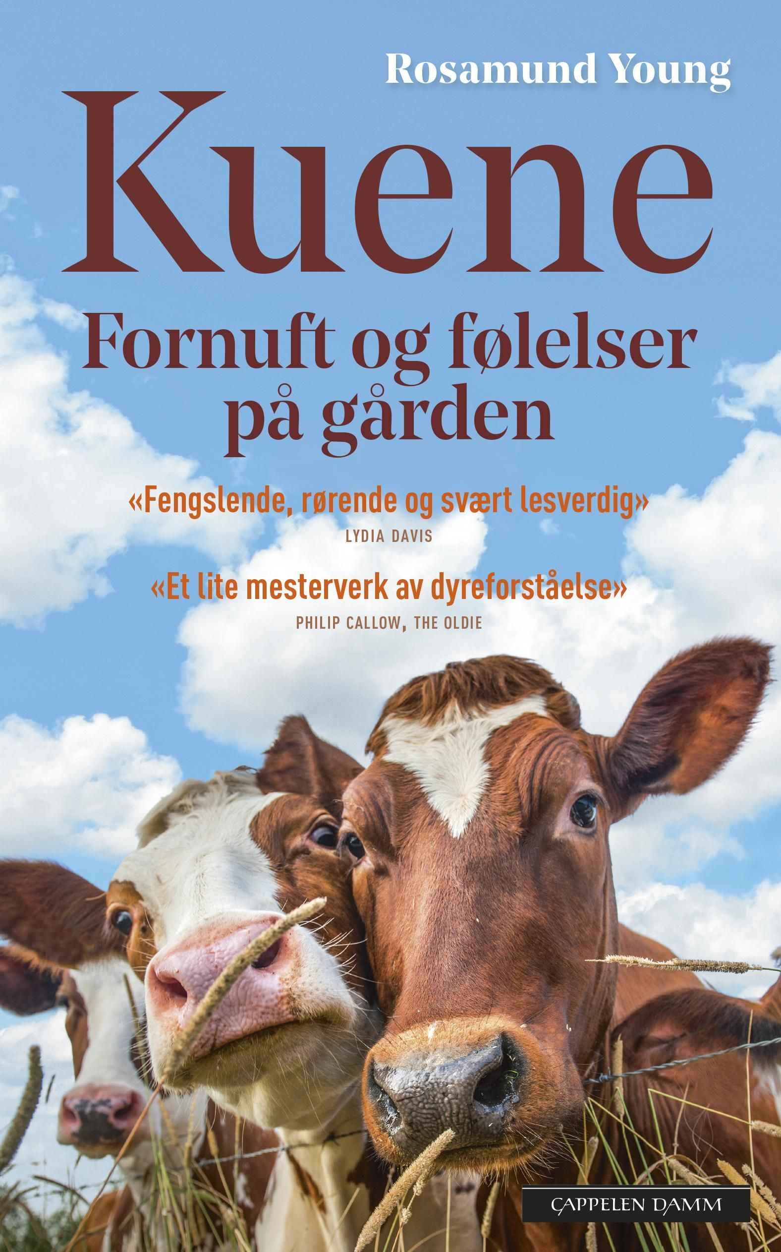 Kuene : fornuft og følelser på gården