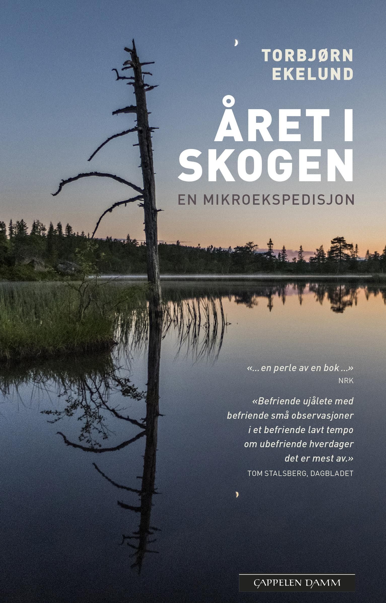 Året i skogen : en mikroekspedisjon