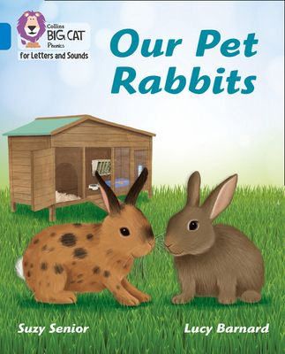 Our Pet Rabbits : Band 04/Blue