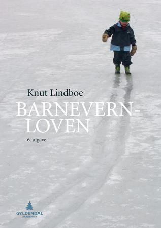 Barnevernloven : lov om barneverntjenester av 17. juli 1992 nr. 100 : à jour 1. januar 2009