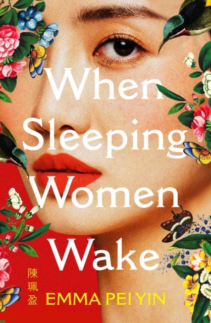 When Sleeping Women Wake : a sweeping historical WW2 novel with female resistance at its heart