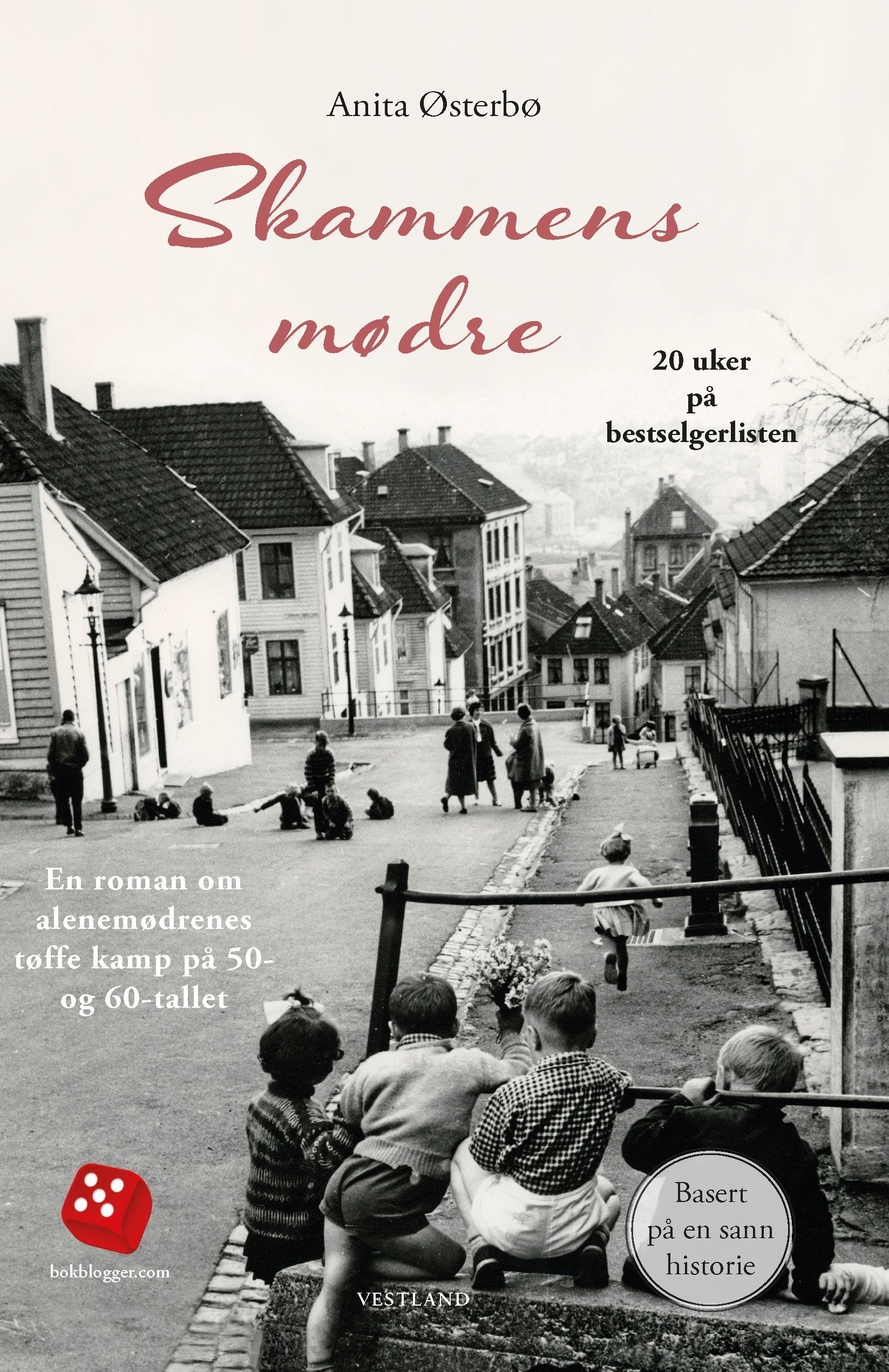 Skammens mødre : en roman om alenemødrenes tøffe kamp på 50- og 60-tallet
