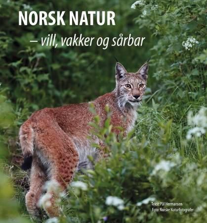 Norsk natur : vill, vakker og sårbar