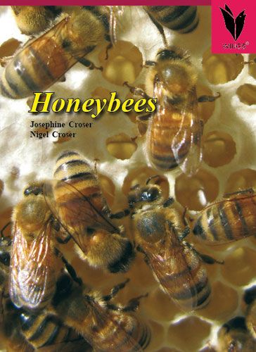 Honeybees
