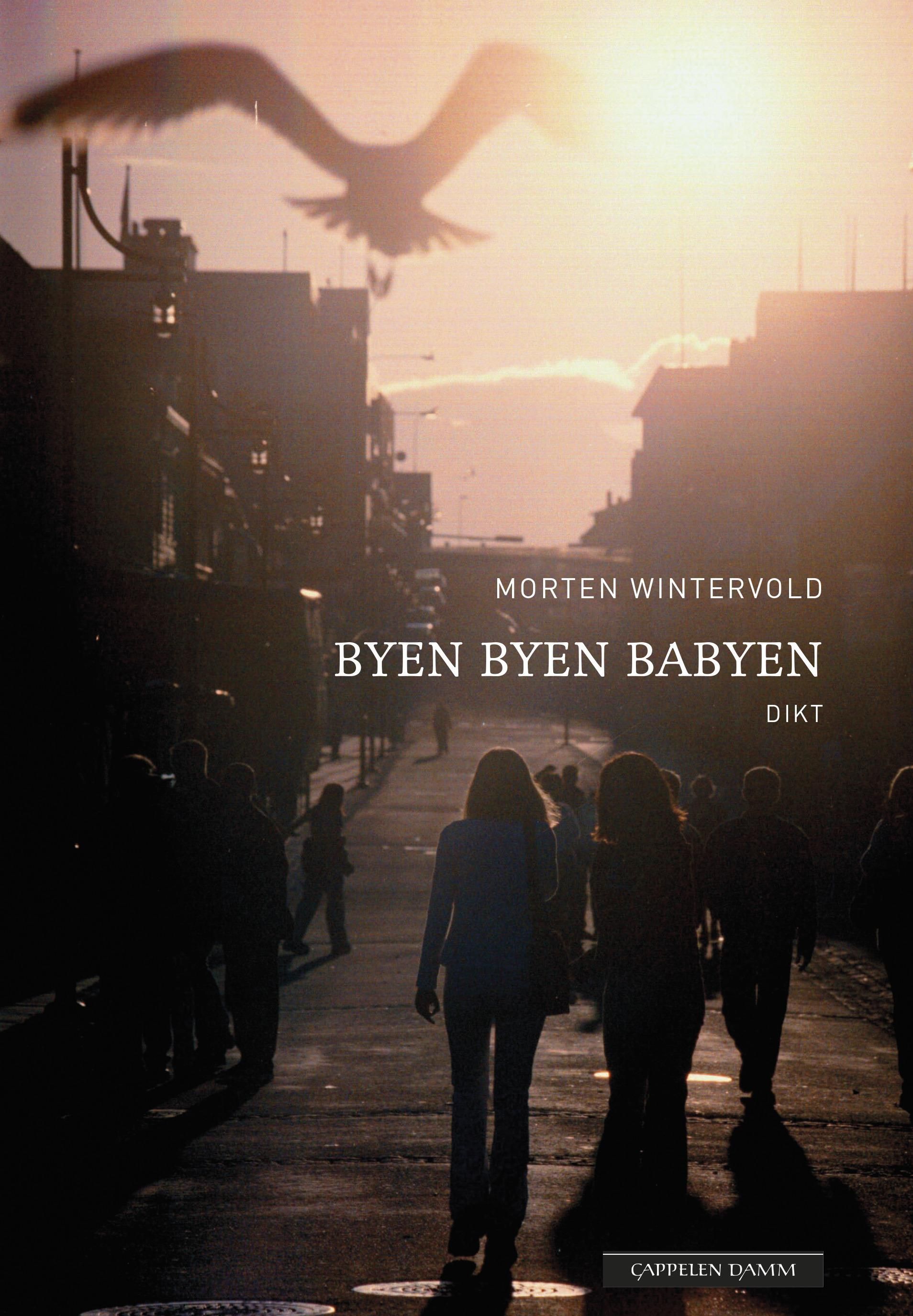 Forsidebilde av Byen byen babyen