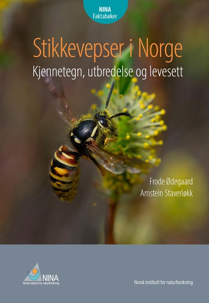 Stikkevepser i Norge : kjennetegn, utbredelse og levesett