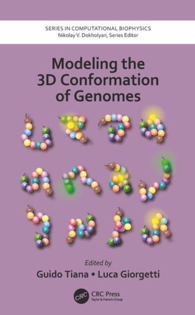 Modeling the 3D Conformation of Genomes