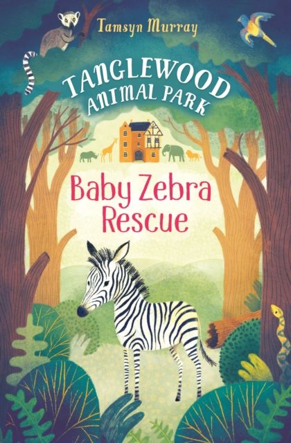 Baby zebra rescue