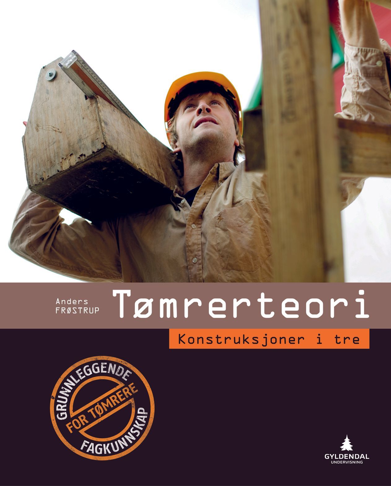 Tømrerteori : konstruksjoner i tre