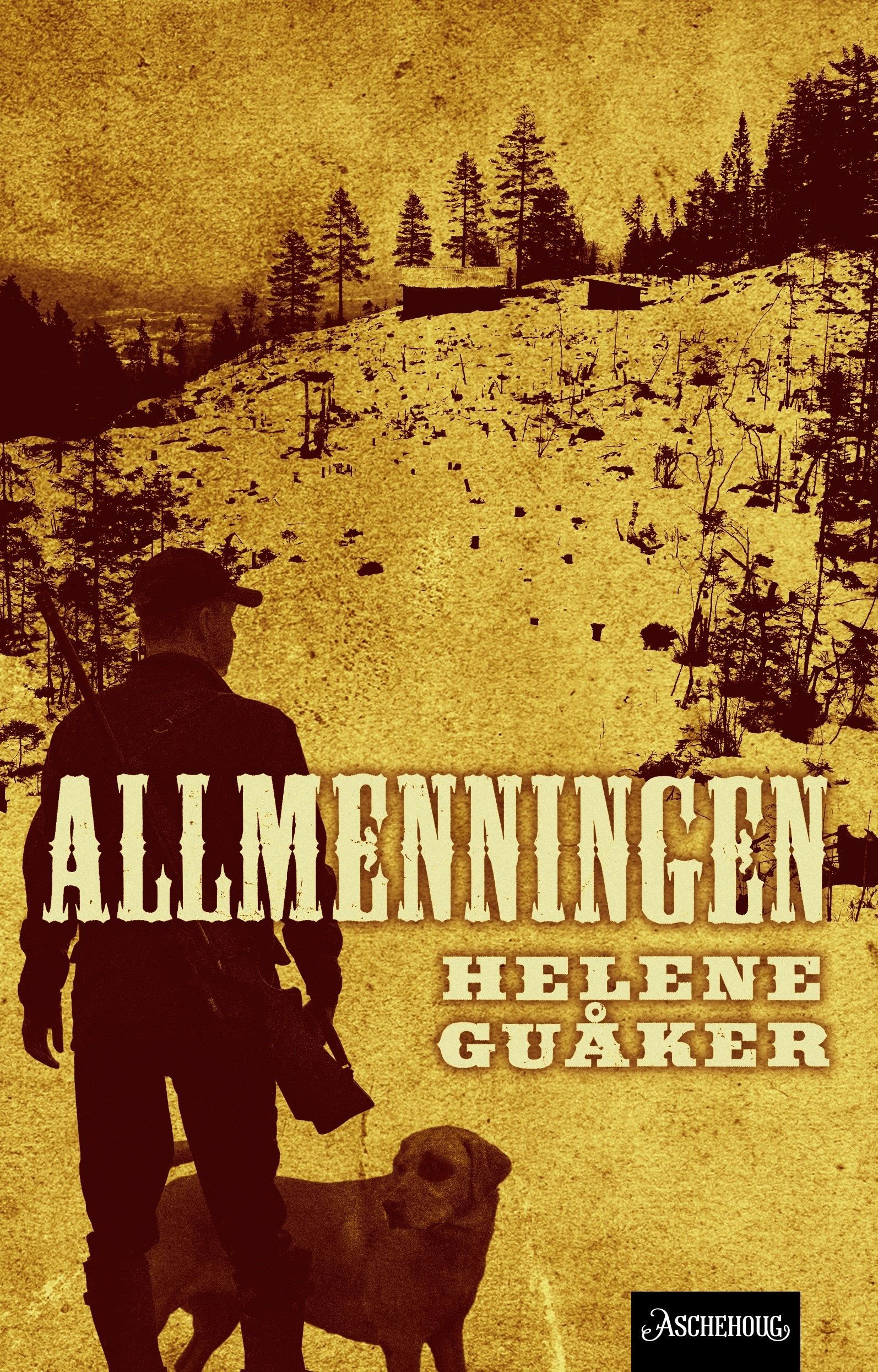 Allmenningen : roman