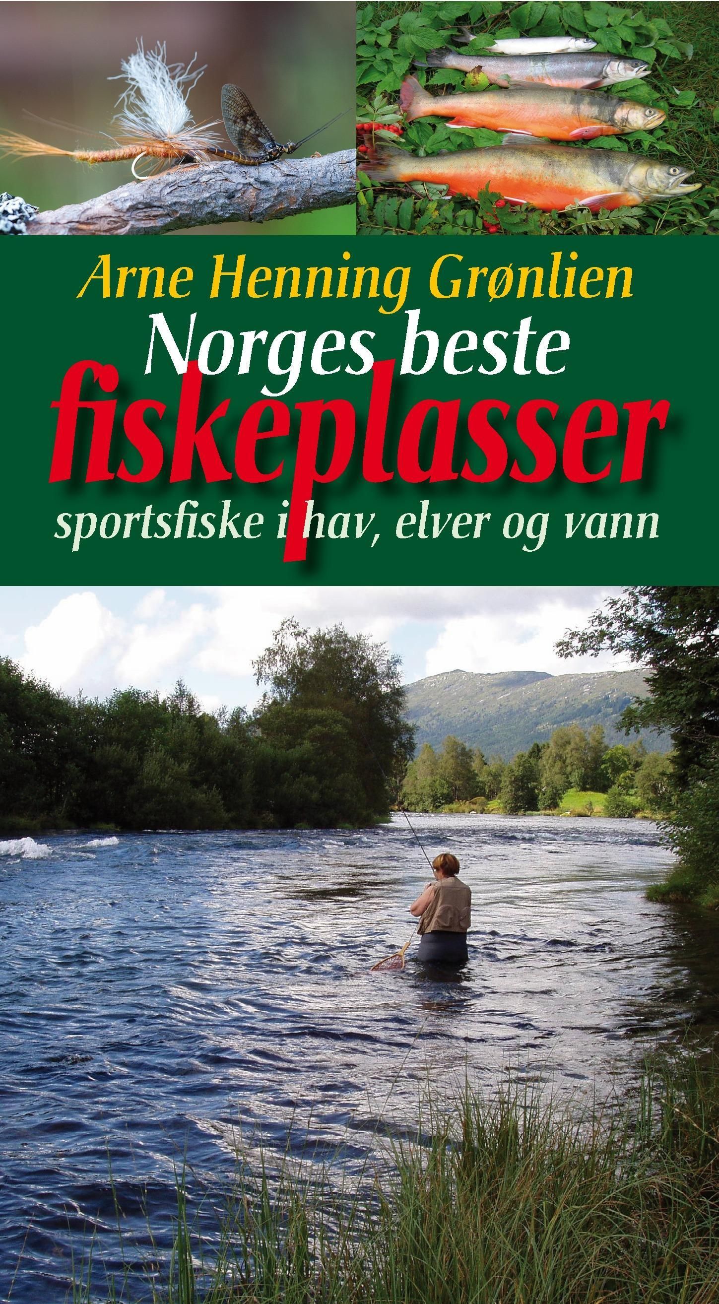 Norges beste fiskeplasser : sportsfiske i hav, elver og vann