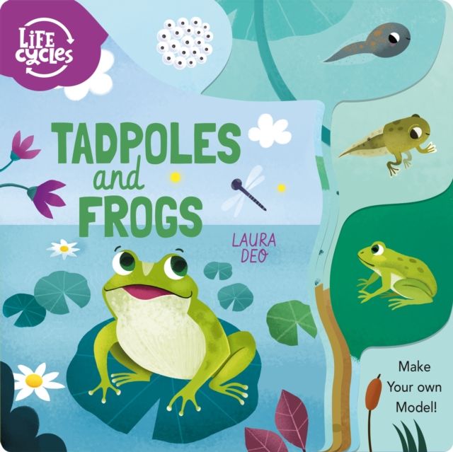 Tadpoles and Frogs : Make Your Own Model!