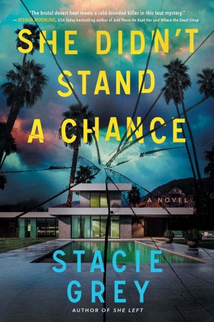 She Didn't Stand a Chance : A Novel