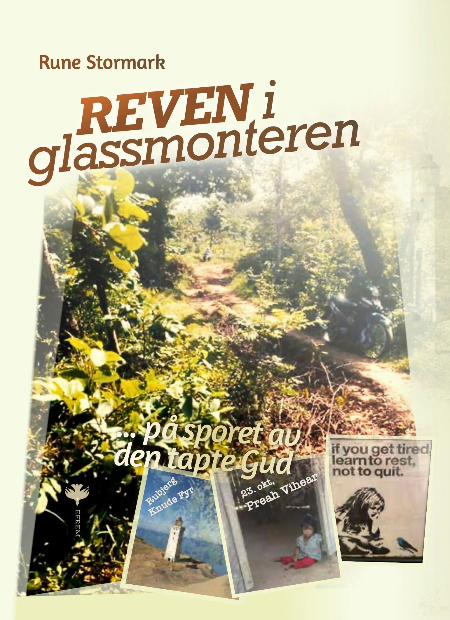 Reven i glassmonteren : på sporet av den tapte Gud
