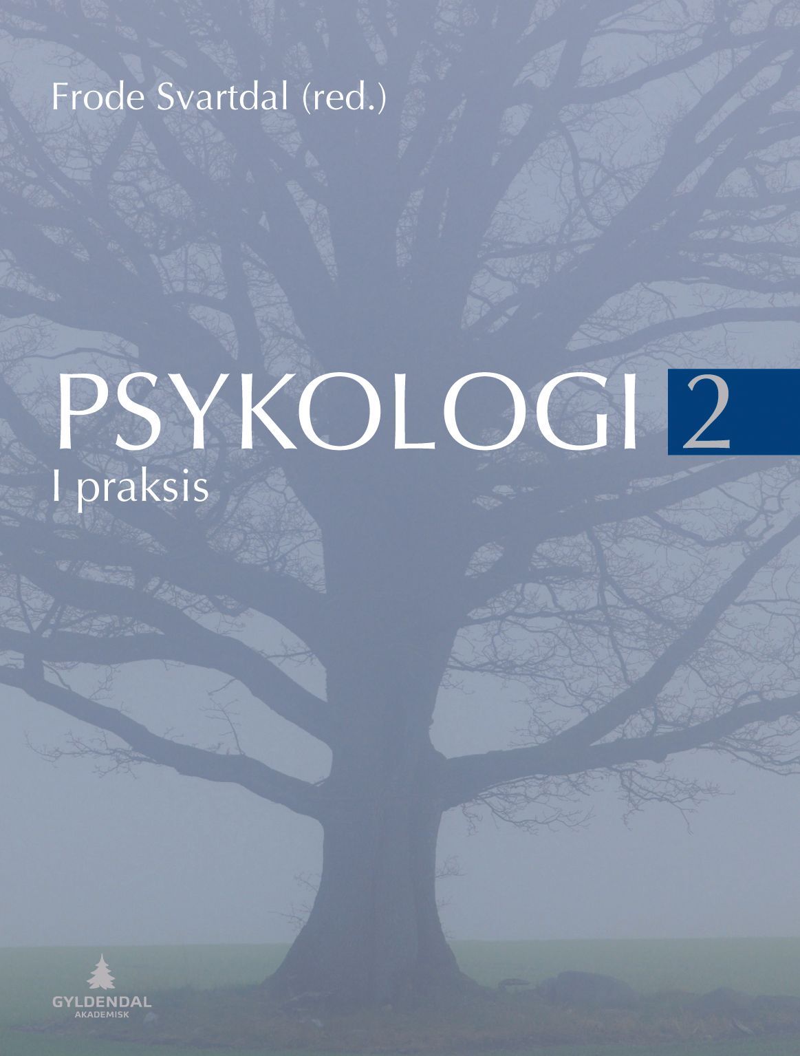 Psykologi i praksis. [2]