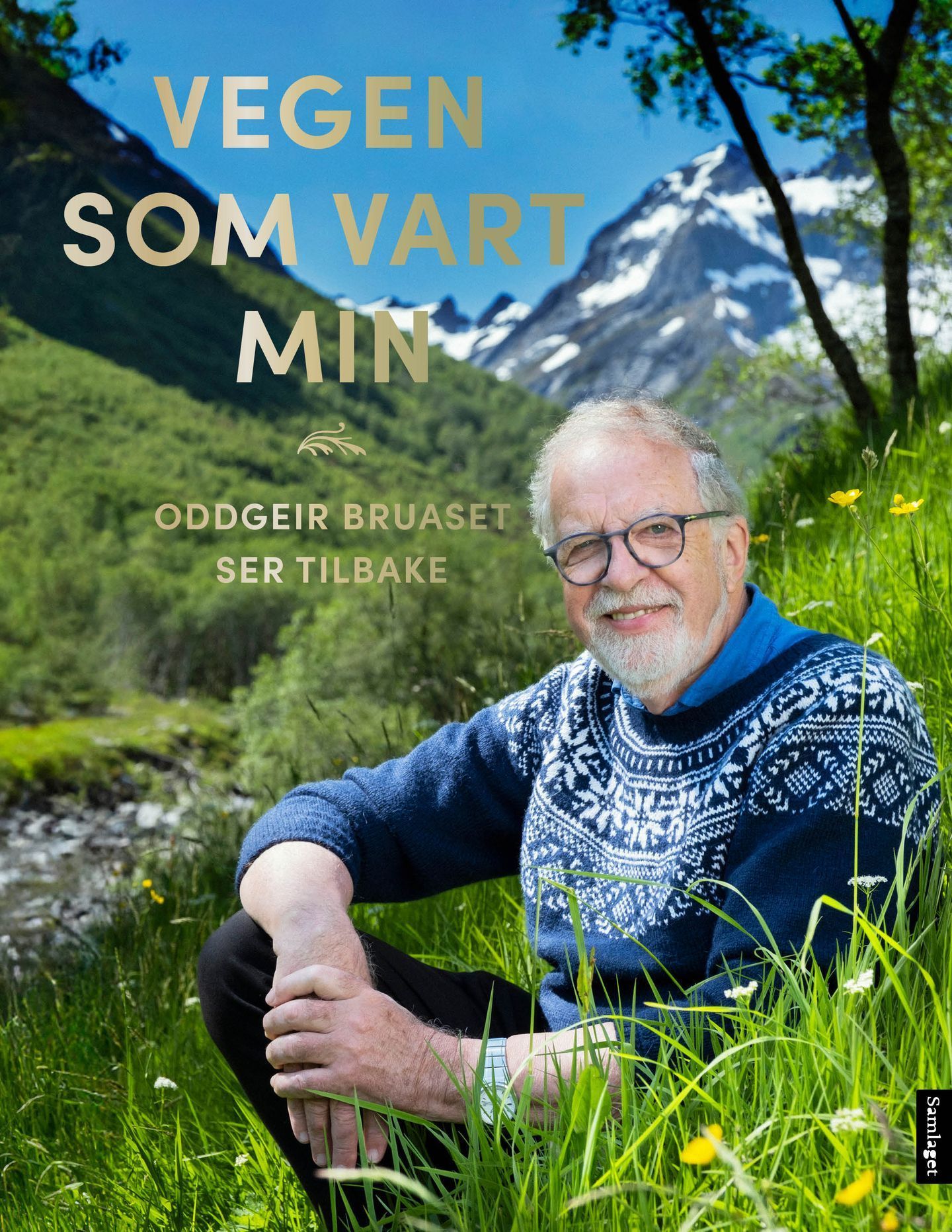 Forsidebilde av Vegen som vart min : Oddgeir Bruaset ser tilbake
