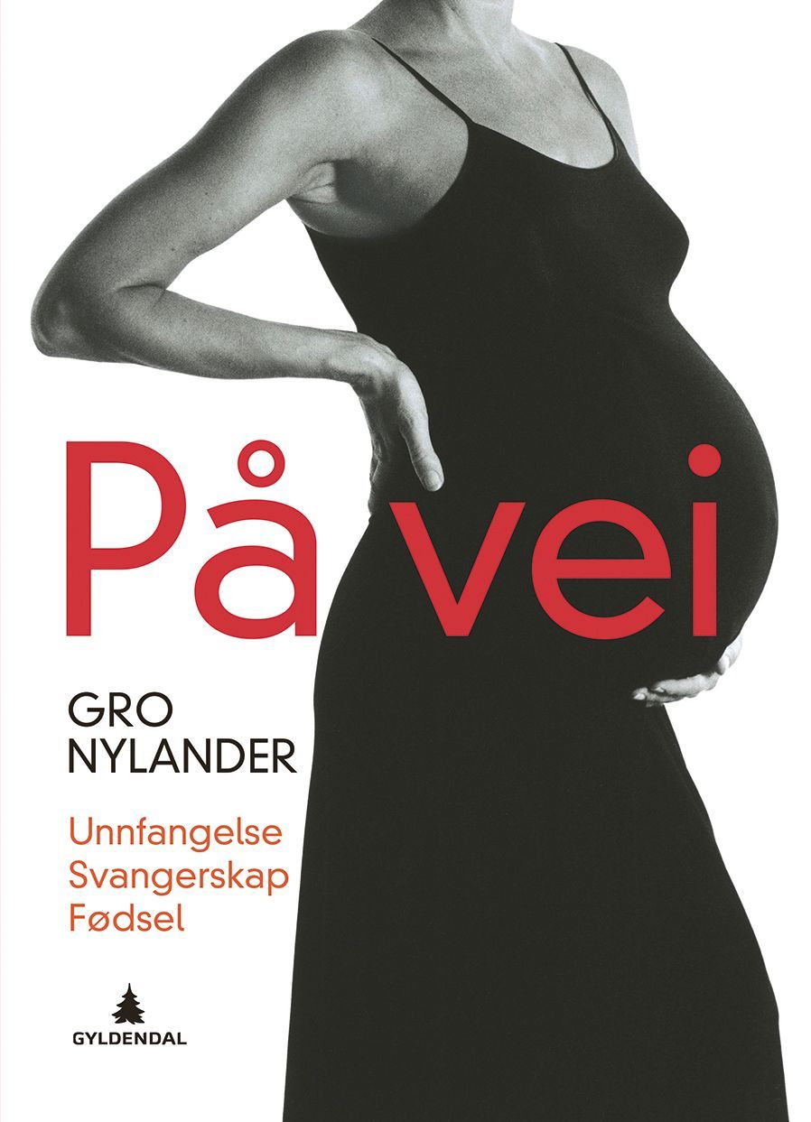 På vei : unnfangelse, svangerskap, fødsel