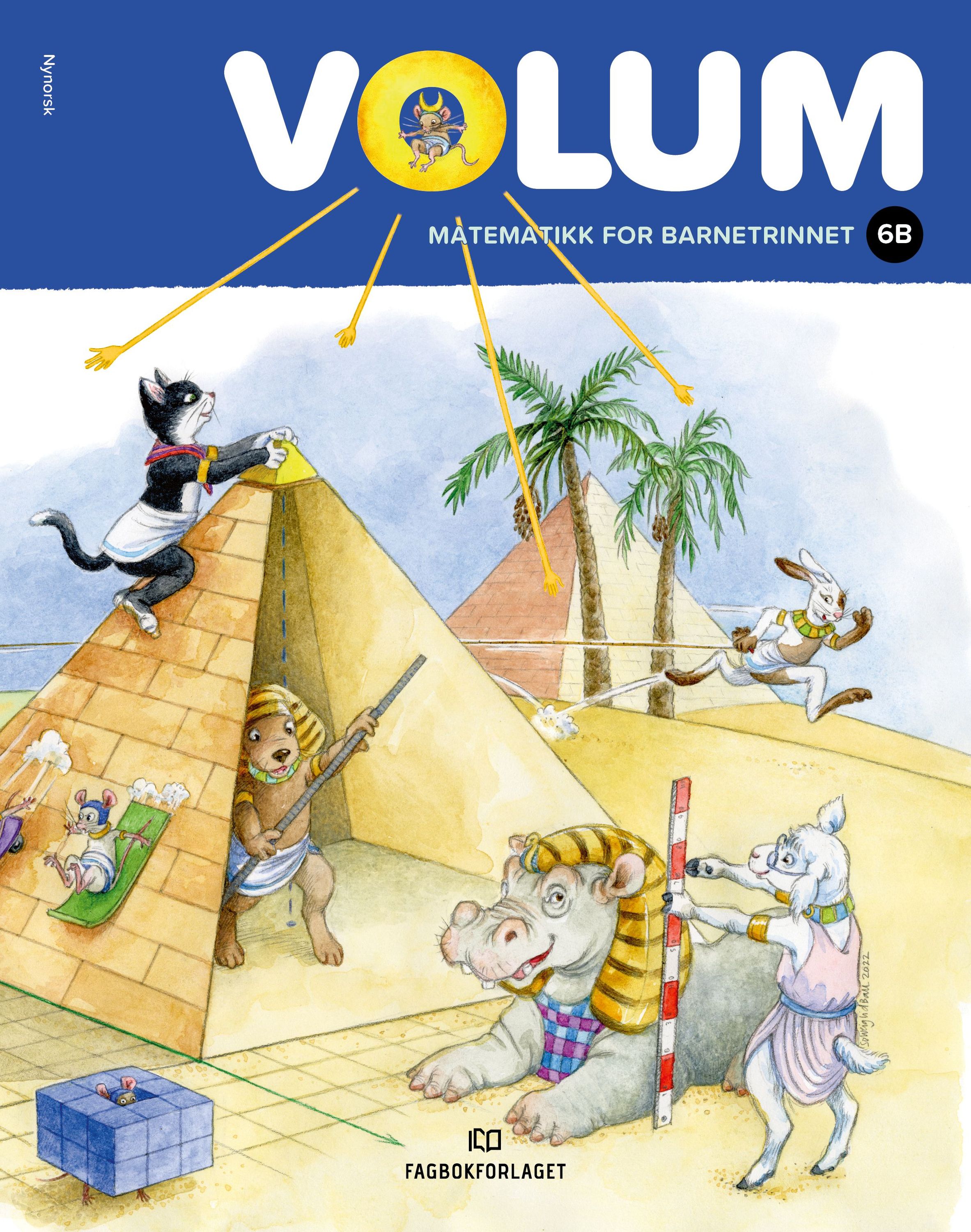 Volum 6B. Elevbok NYN