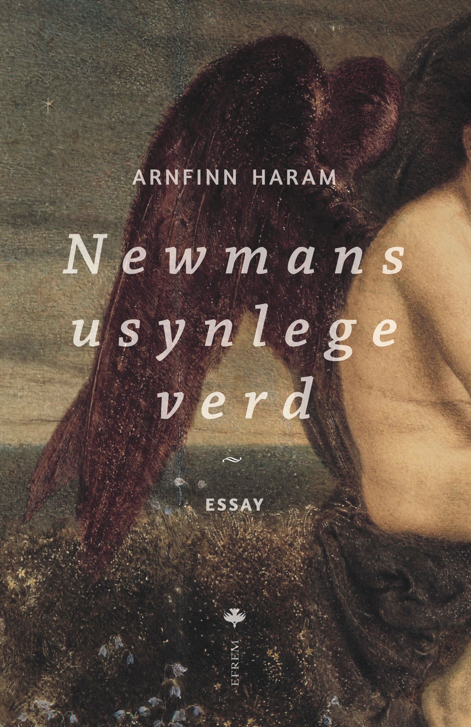 Newmans usynlege verd : essay