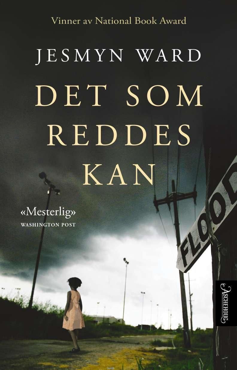 Det som reddes kan : en roman