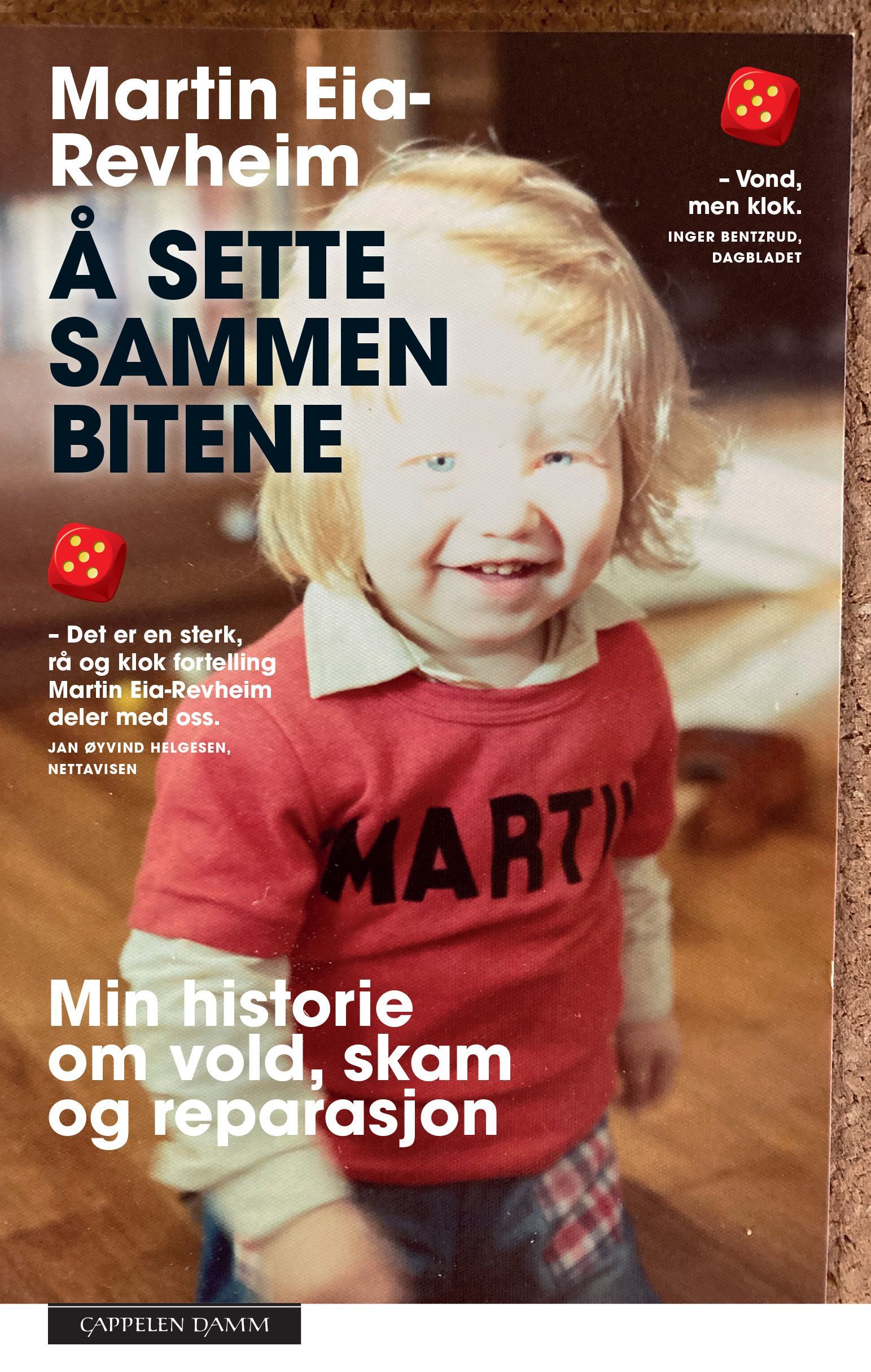 Å sette sammen bitene : min historie om vold, skam og reparasjon
