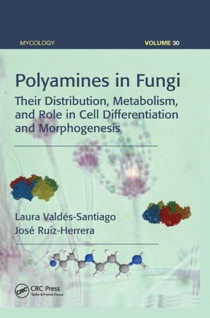 Polyamines in Fungi : Their Distribution, Metabolism, and Role in Cell Differentiation and Morphogenesis