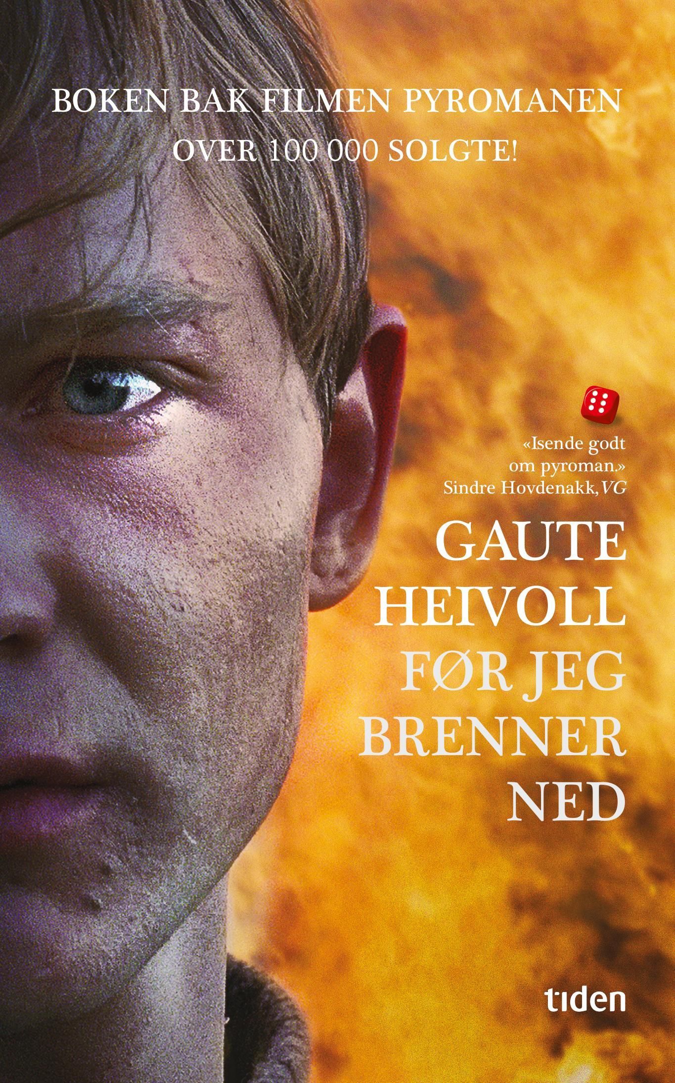 Før jeg brenner ned : roman