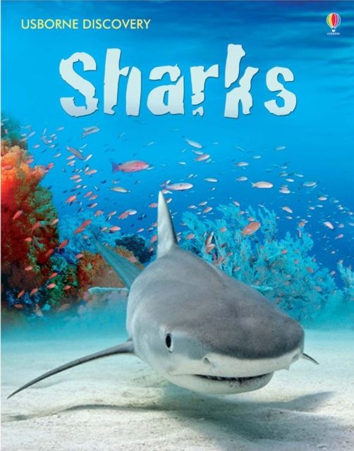Discovery Sharks