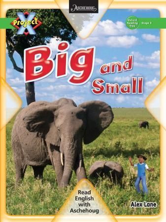 Big and small : stage 2