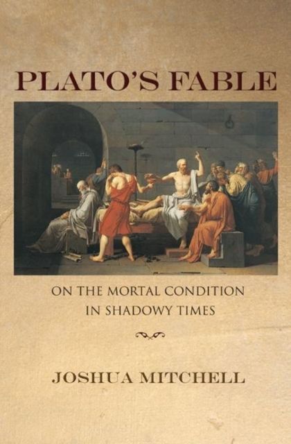 Plato's Fable : On the Mortal Condition in Shadowy Times