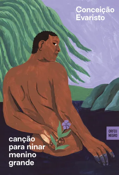 Forsidebilde av Canção para ninar menino grande